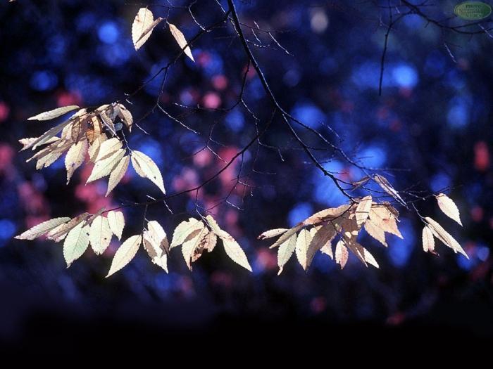 ����ũ��� ����